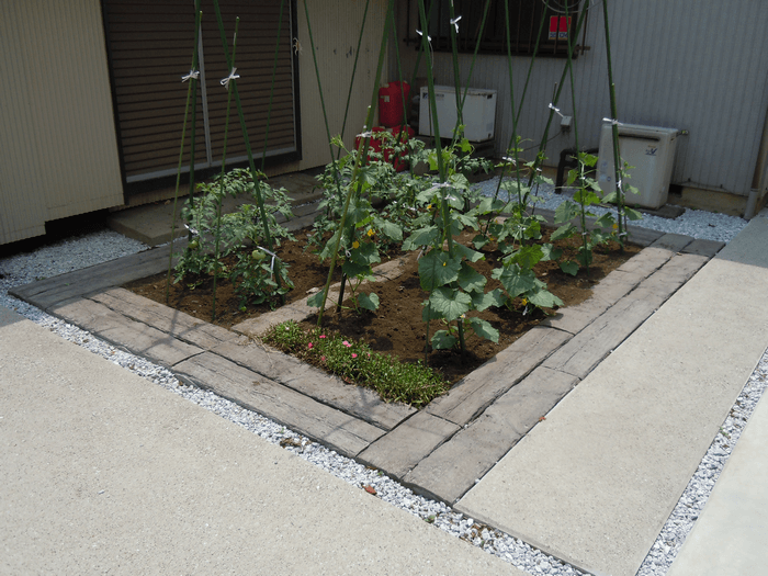 陽当たりの良いデッドスペースは、ご希望の家庭菜園スペースにしました。